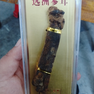 远洲参茸