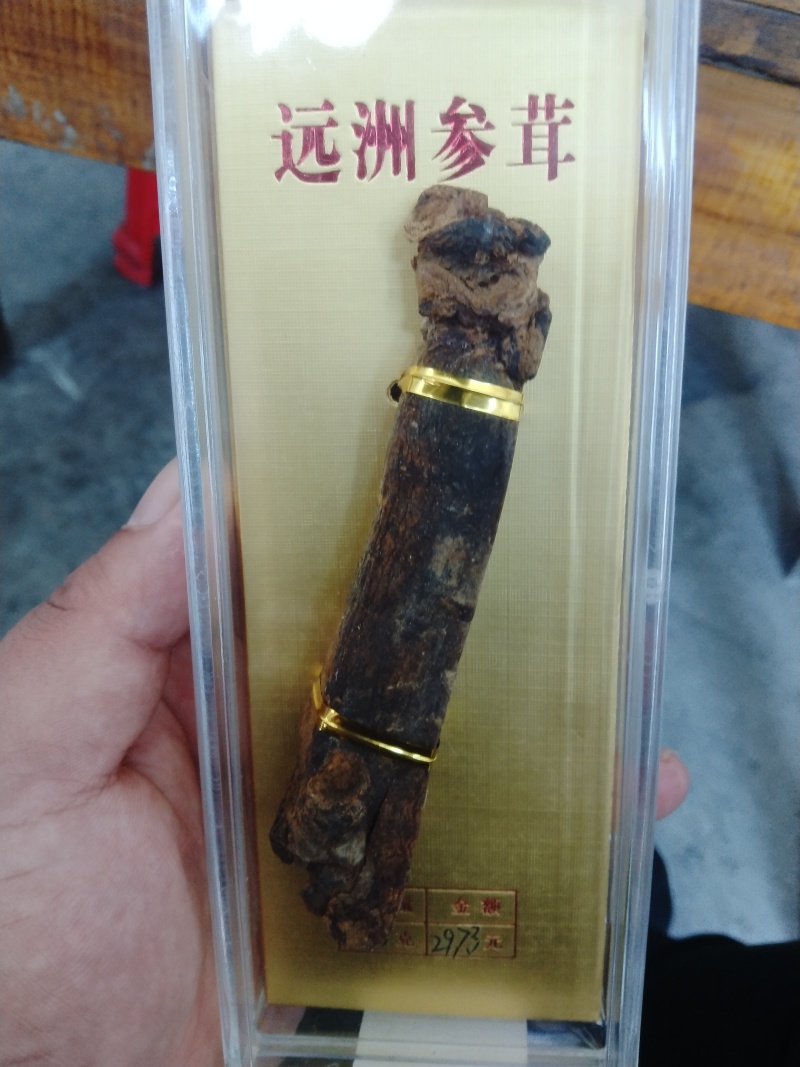 远洲参茸