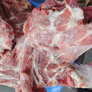 新到猪胫骨，带肉多，颜色非常新鲜开箱实拍，超低价