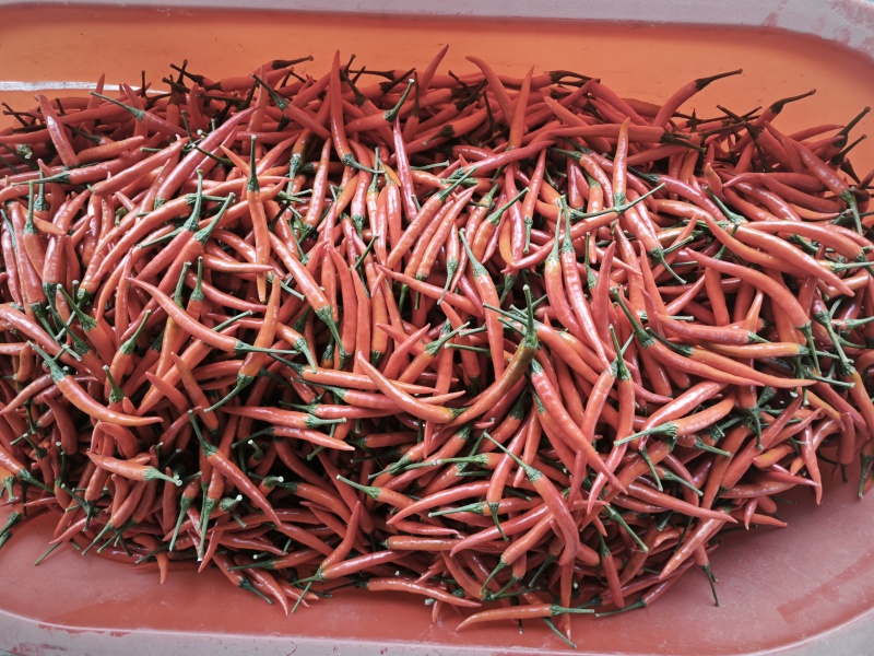 精品小米辣，河南商丘原产地发货，量大从优，需要联系整车走