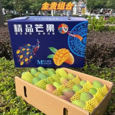芒果