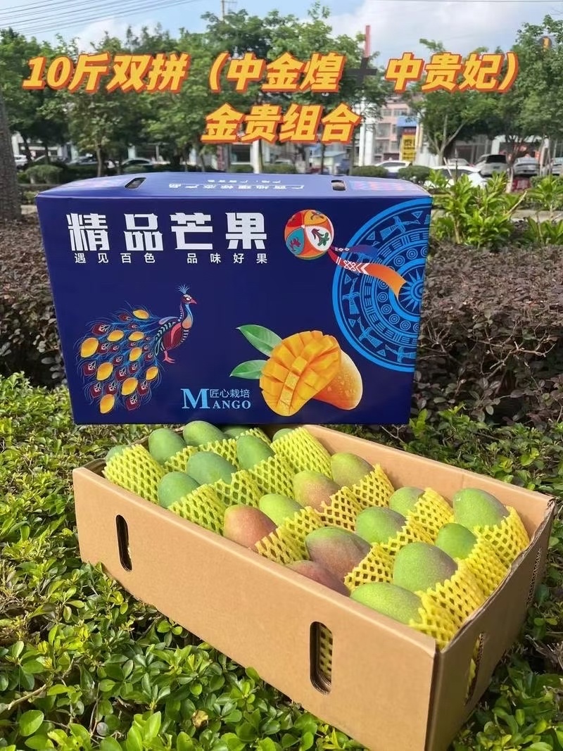 芒果