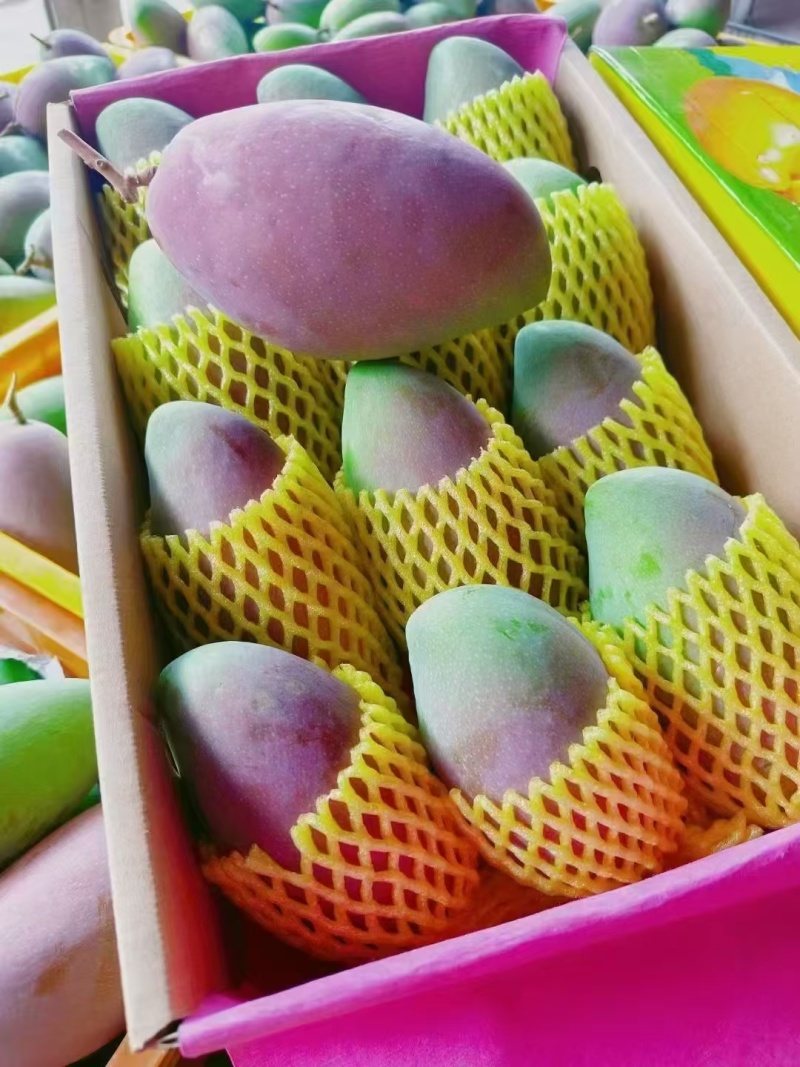 芒果