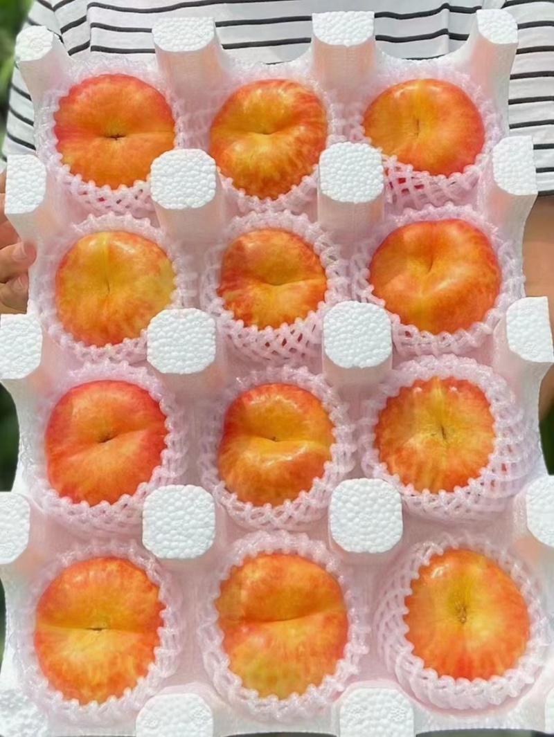 山东蒙阴黄金油蟠桃