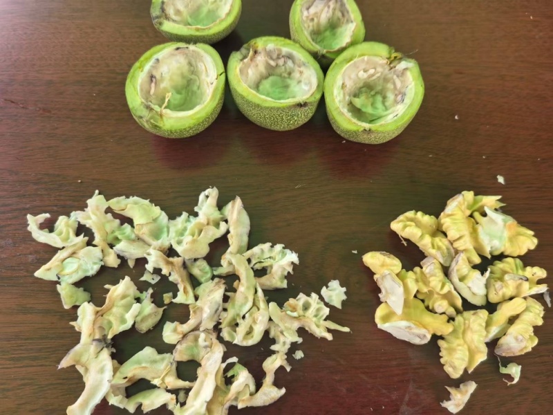 礼品二号大量现货开始老板预定