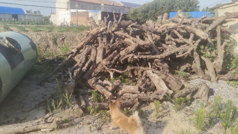 苹果木桃木梨木