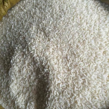 大量出售缅甸大米碎米玉米