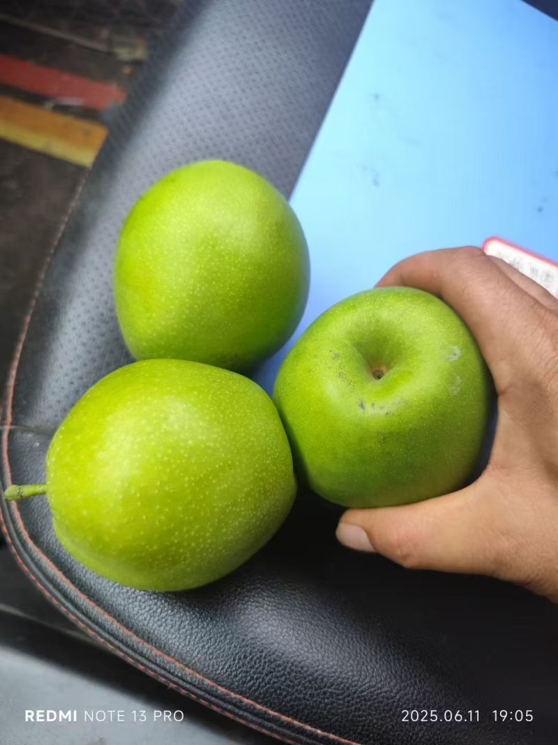 电商供应链湖北翠冠梨，鲜果供货