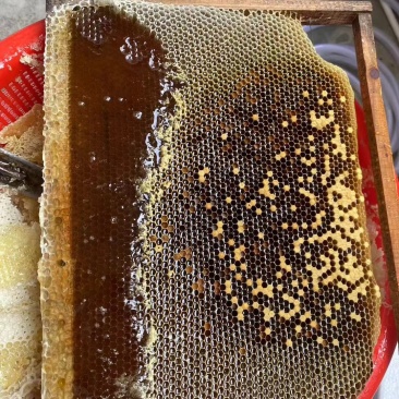 蜂蜜