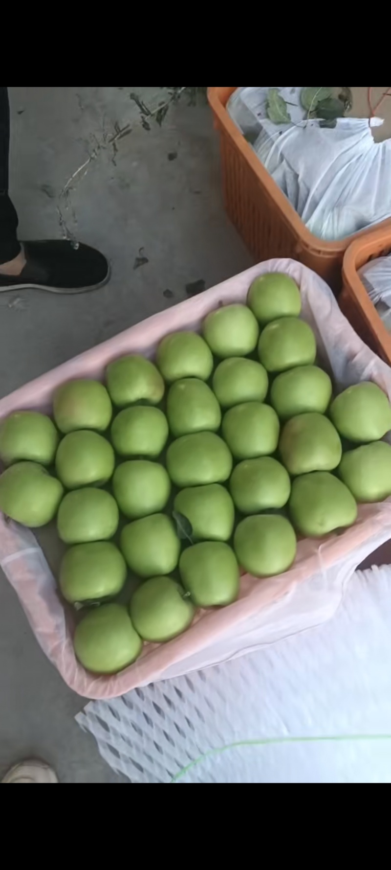 售华硕果