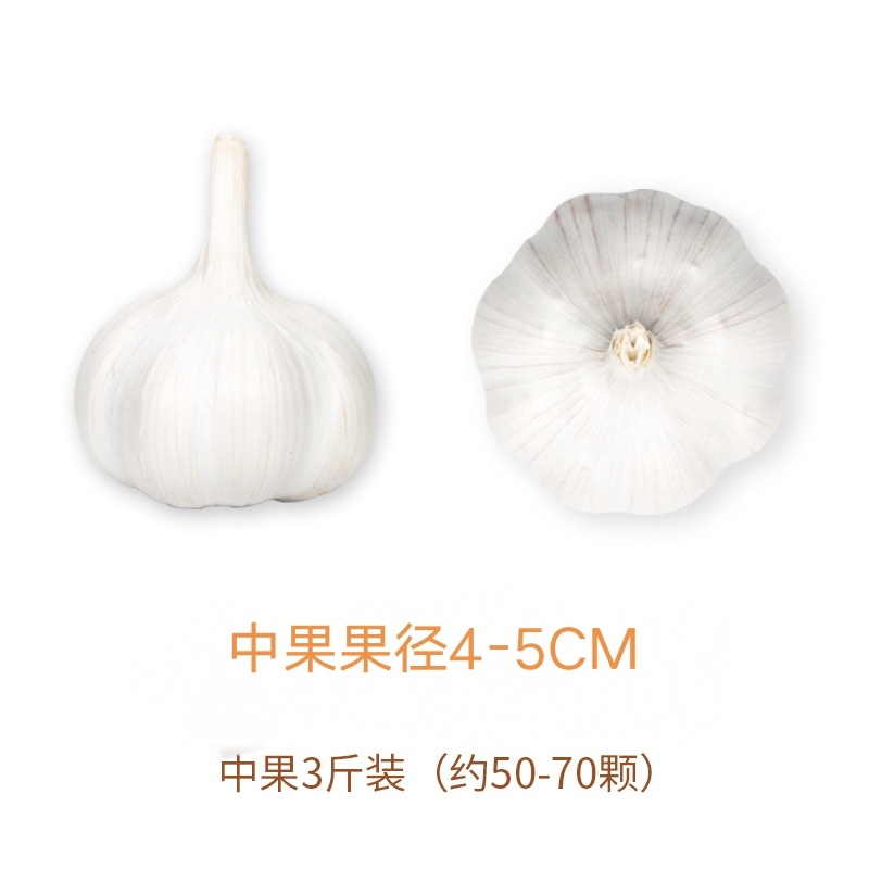 山东苍山大蒜