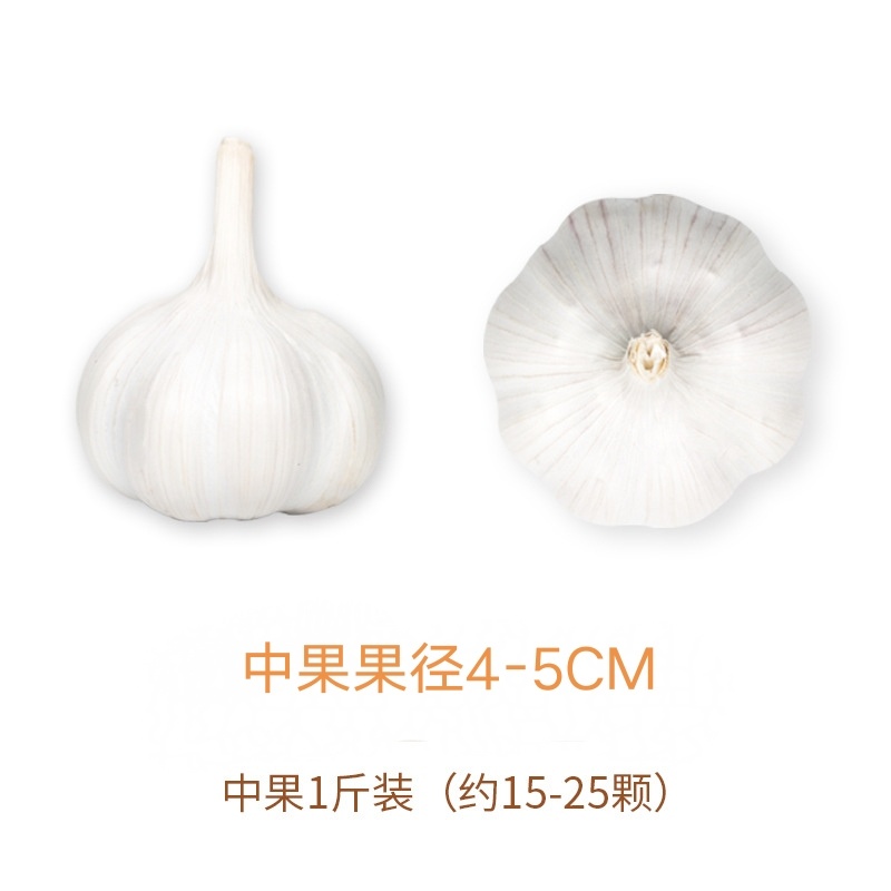 山东苍山大蒜