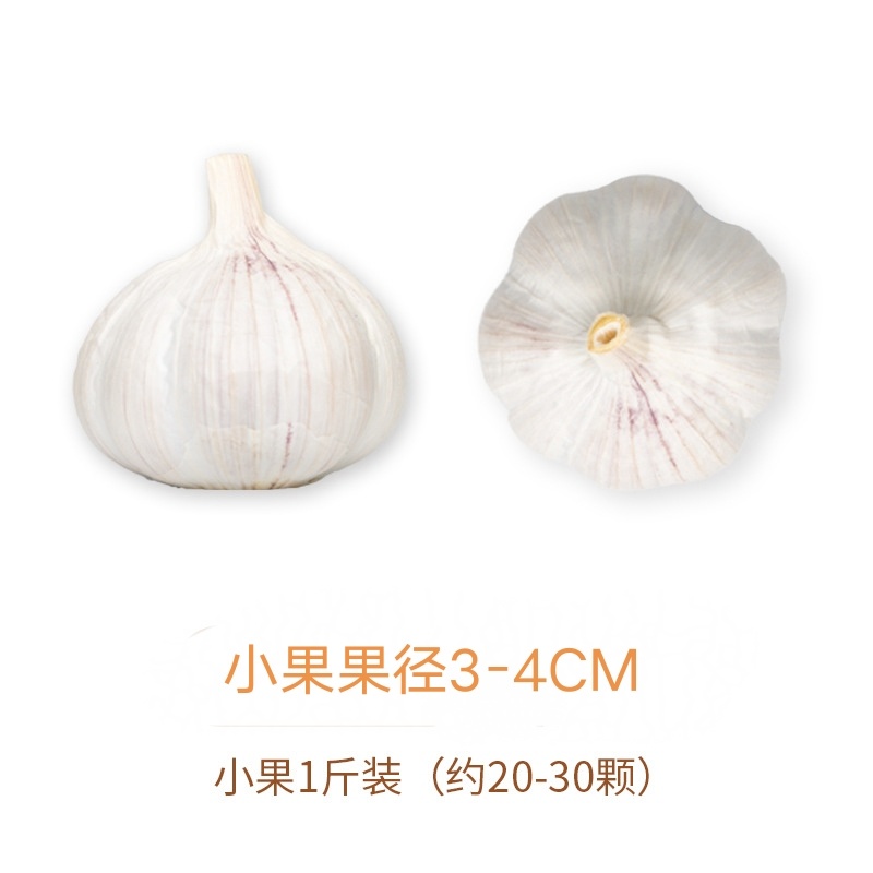 山东苍山大蒜