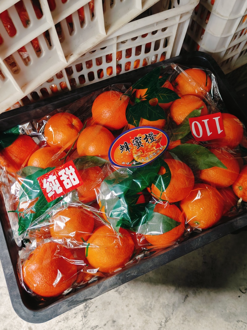 精品纽荷尔脐橙大量上市，新鲜采摘，保质保量对接全国