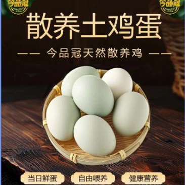 湖北一手货土鸡蛋新鲜上市量大从优欢迎采购热卖中