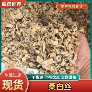 【源头直供】桑白皮丝一手货源规格定制量大价优