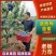 陕西蓝西梅蓝蜜产地直发蓝西梅批发优质西梅基地