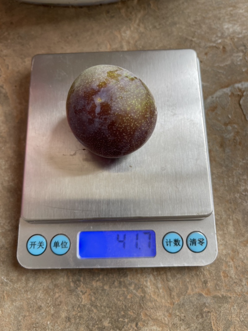半边红熟了欢迎走车