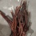 鹿角灵芝灵芝草灵芝中药材中药材种植全年有货