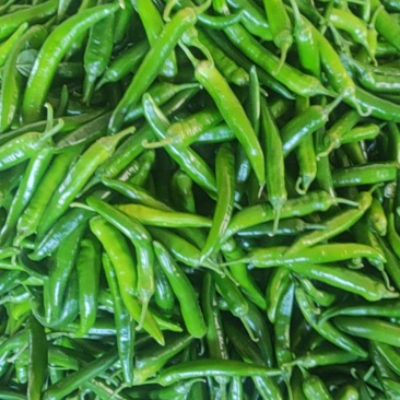 新鲜青辣椒