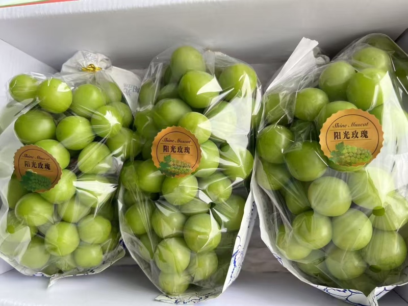 阳光玫瑰