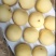 白皇冠梨果肉细腻口感脆甜保质保量河北产地直销