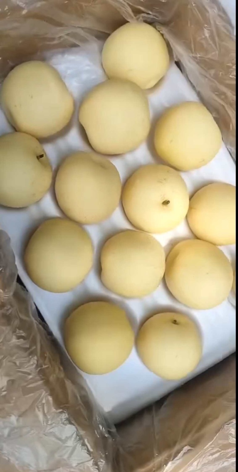 白皇冠梨果肉细腻口感脆甜保质保量河北产地直销
