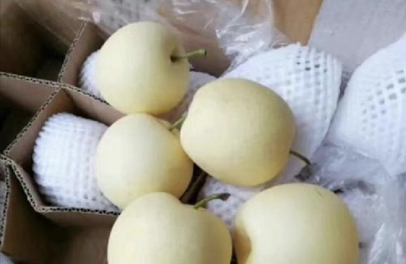 白皇冠梨果肉细腻口感脆甜保质保量河北产地直销