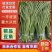 《推荐》河南豆角/青条豆角/自家冷库/产地货源/全年有货