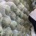 哈密瓜新疆吐鲁番货源充足量大从优诚信经营欢迎咨询
