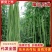 《精品豆角》河南豆角/青条豆角/产地货源/代发全国市场