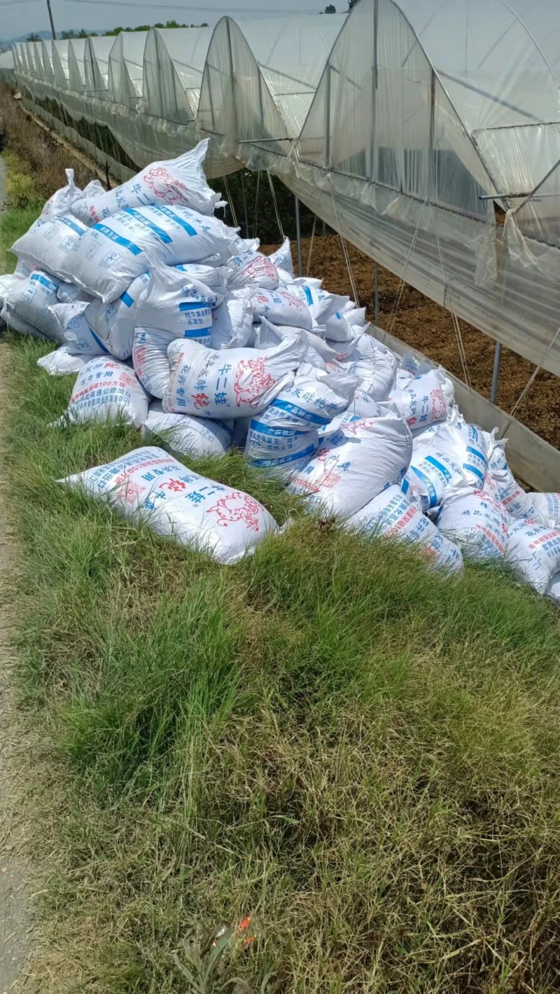 发酵牛粪营养土