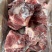 产品名：肥猪扇子骨带肉60%规格：10kg10个左右
