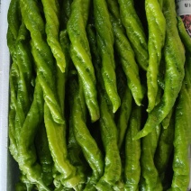 辣椒，榆林辣椒，高山辣椒，芜湖椒，螺丝椒，牛角椒，皱皮椒