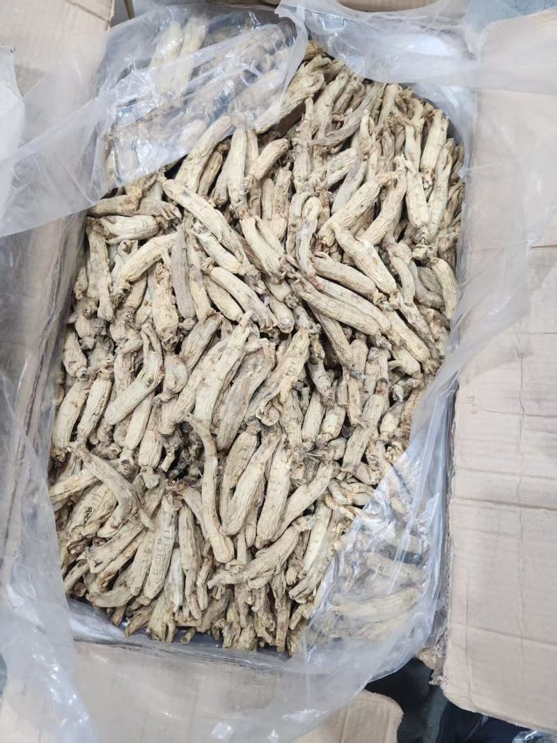 太极参又名大力参质量好价格优可供药厂