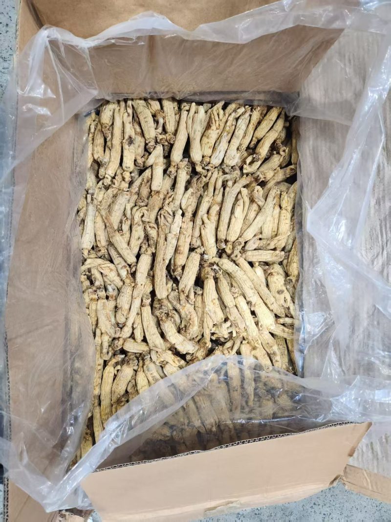 太极参又名大力参质量好价格优可供药厂