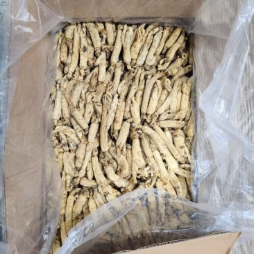 太极参又名大力参质量好价格优可供药厂