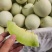 玉菇蜜瓜