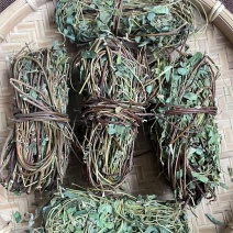 鸡骨草（带叶）煲汤煮水