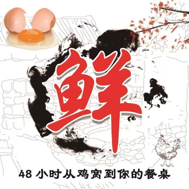 【谷物鸡蛋】精品盒装谷物鸡蛋鲜鸡蛋谷物纯粮喂养