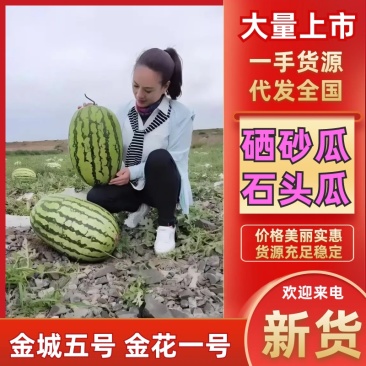 2026年，宁夏硒砂瓜，包熟包甜包质量，代发全国市场