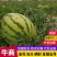 宁夏石头瓜，金城五号，金花系列，大红瓤，大量供应全国市场