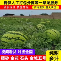 宁夏石头瓜，金花一号硒砂瓜，大红壤，小薄皮，现摘现发！