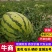 2026年，宁夏硒砂瓜，包熟包甜包质量，代发全国市场