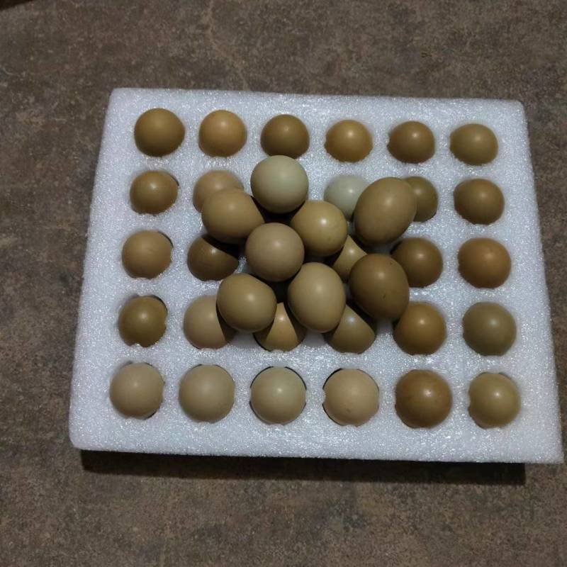 优质新鲜野鸡蛋每天现捡现发