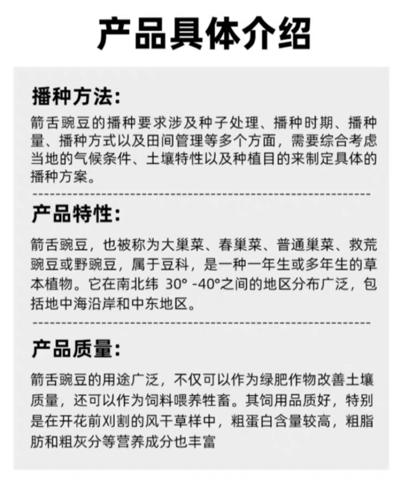 箭舌豌豆种子果园生草栽培抑制杂草秋季种植肥饲兼用优质种子