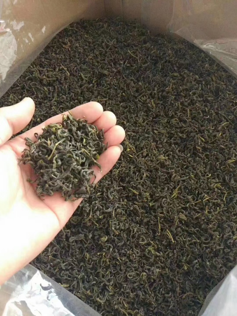 广东省揭阳揭西县优质春茶
