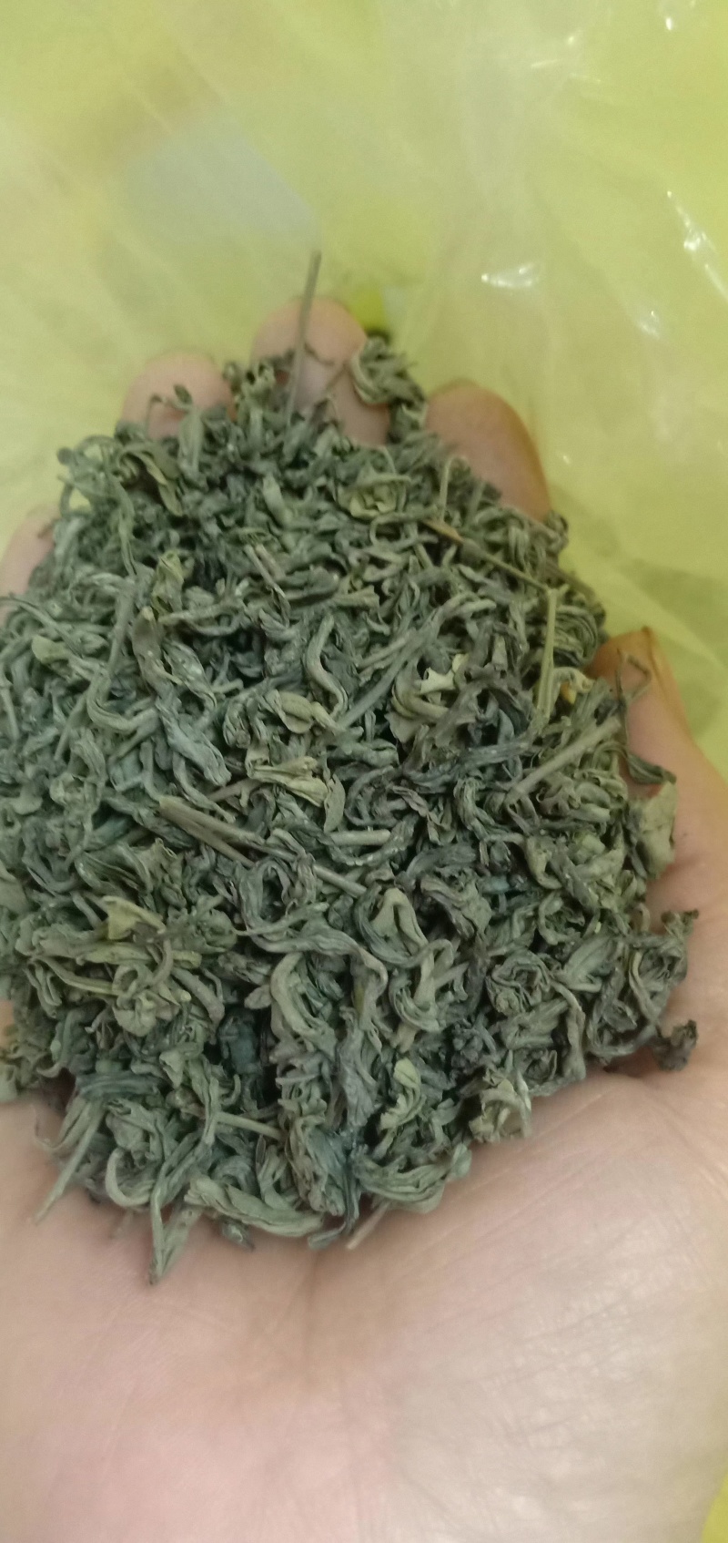广东省揭阳揭西县优质春茶