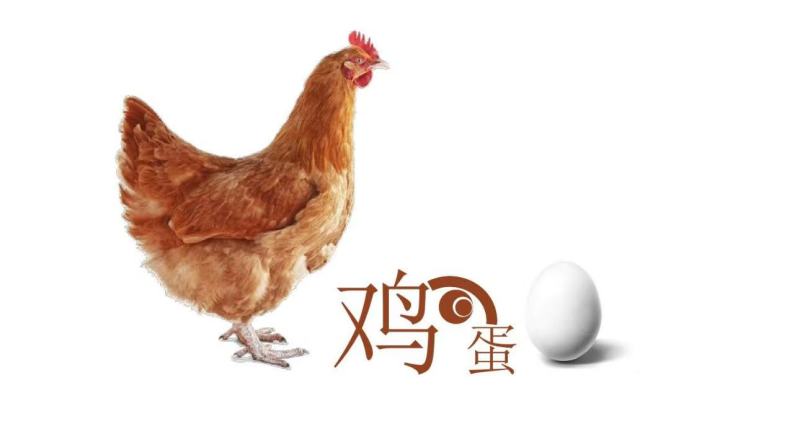 框装散鸡蛋对接全国市场商超精品鲜蛋粉蛋物美价廉