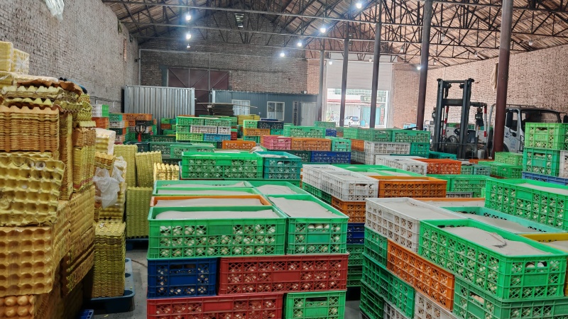 框装散鸡蛋对接全国市场商超精品鲜蛋粉蛋物美价廉